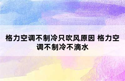 格力空调不制冷只吹风原因 格力空调不制冷不滴水